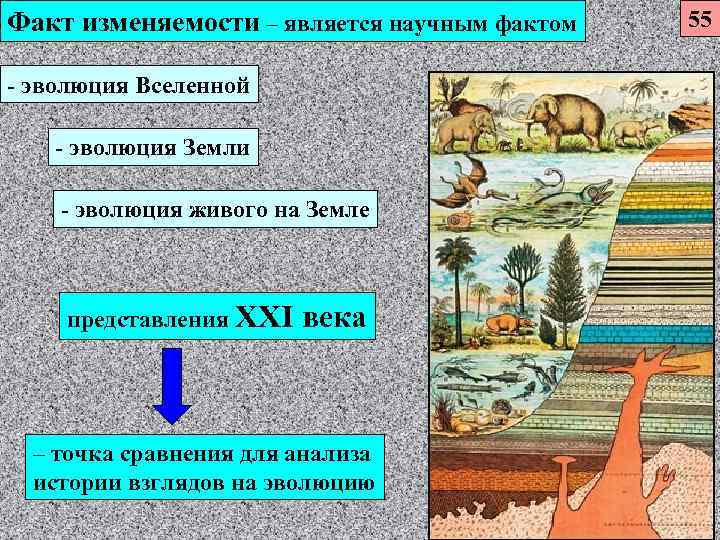 Факт изменяемости – является научным фактом  55 - эволюция Вселенной - эволюция Земли
