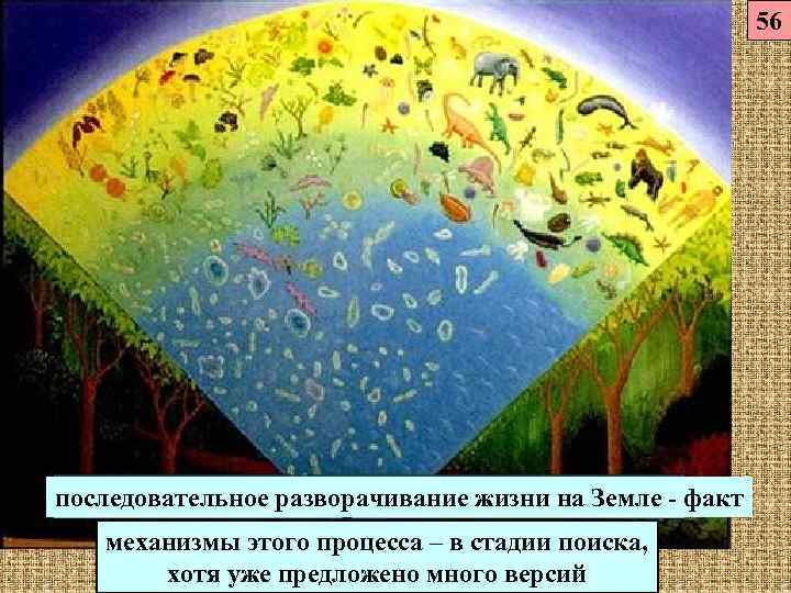      56 последовательное разворачивание жизни на Земле - факт 
