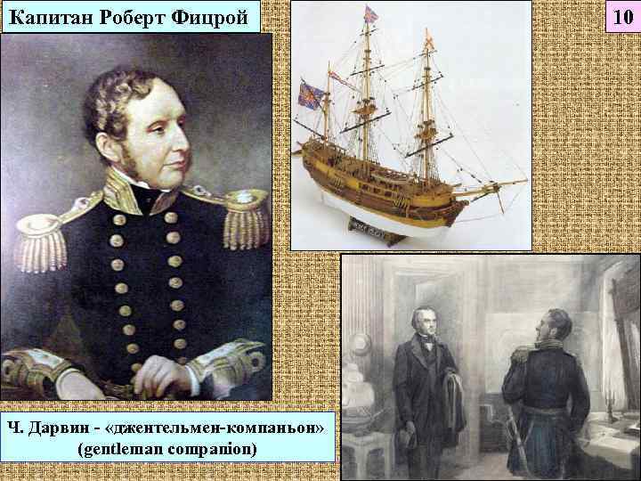 Капитан Роберт Фицрой   10 Ч. Дарвин - «джентельмен-компаньон»   (gentleman companion)