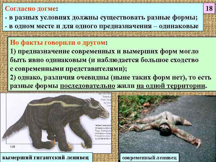 Согласно догме:    18 - в разных условиях должны существовать разные формы;