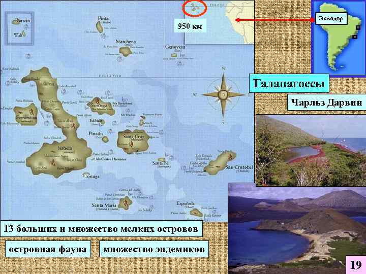      Эквадор      950 км 