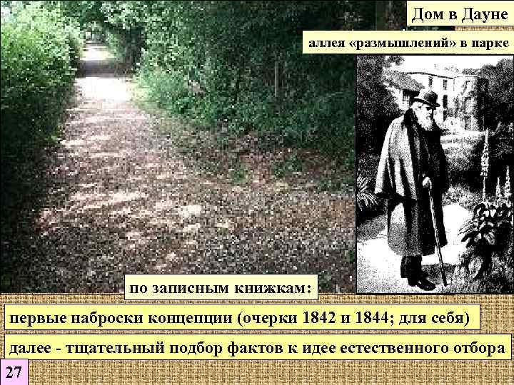      Дом в Дауне      