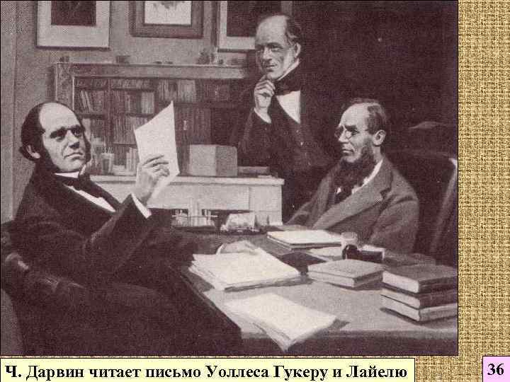 Ч. Дарвин читает письмо Уоллеса Гукеру и Лайелю  36 