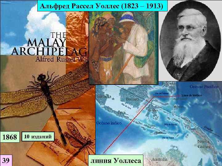   Альфред Рассел Уоллес (1823 – 1913) 1868  10 изданий  39