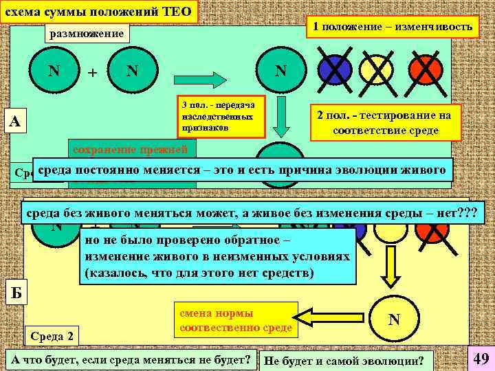 схема суммы положений ТЕО     1 положение – изменчивость  размножение