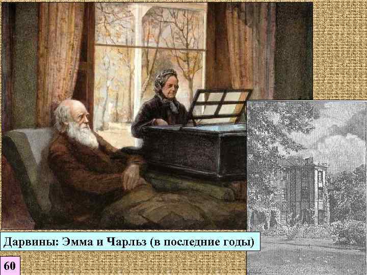 Дарвины: Эмма и Чарльз (в последние годы) 60 