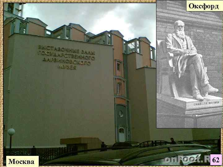    Оксфорд Москва  62 