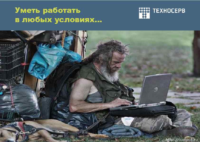 Уметь работать в любых условиях… 