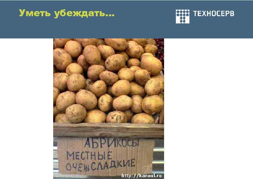 Уметь убеждать… 