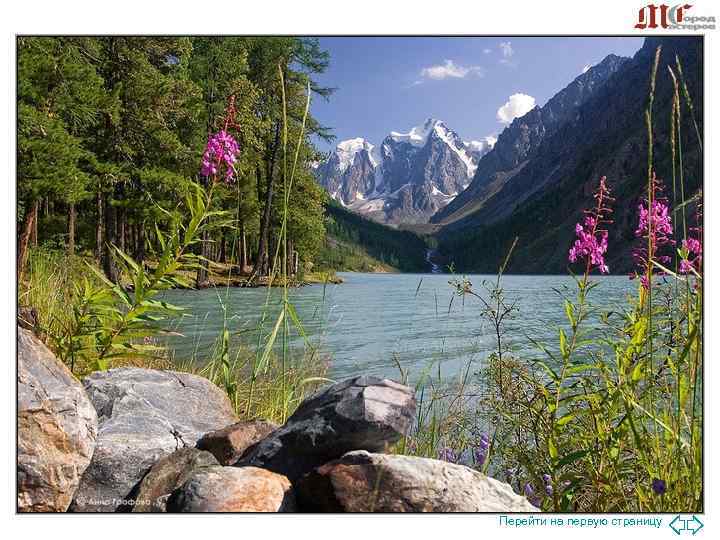 Свобода Умиротворение Гармония Перейти на первую страницу Свобода Умиротворение Гармония Перейти на первую страницу