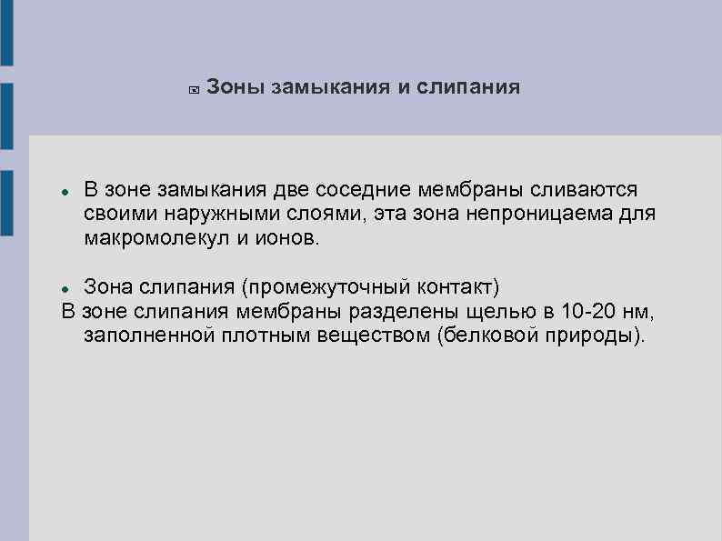    Зоны замыкания и слипания  В зоне замыкания две соседние мембраны