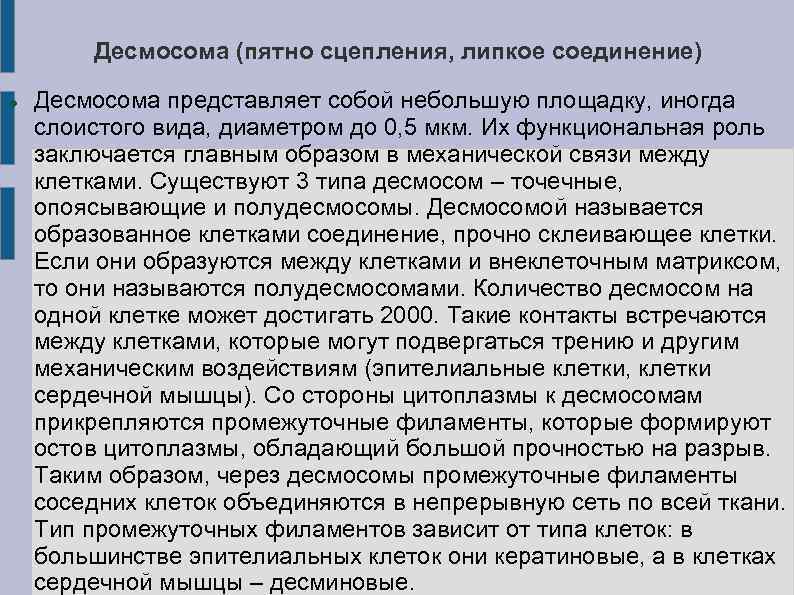   Десмосома (пятно сцепления, липкое соединение) Десмосома представляет собой небольшую площадку, иногда слоистого