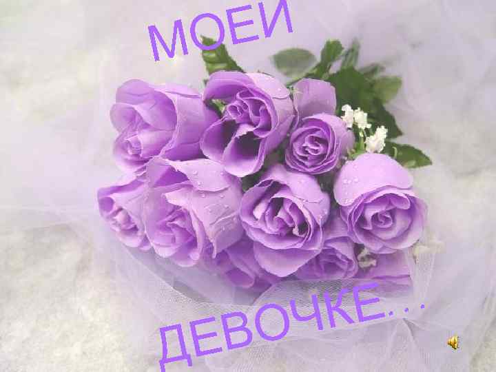 МО ЕЙ   О ЧК Е… Д ЕВ 