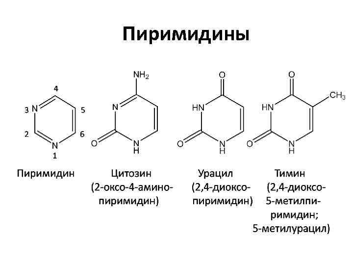 Пиримидины 