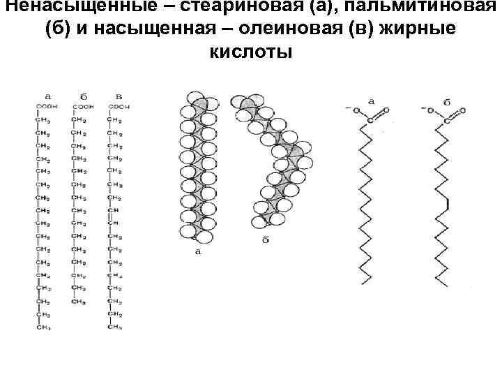 Пальмитиновая кислота презентация