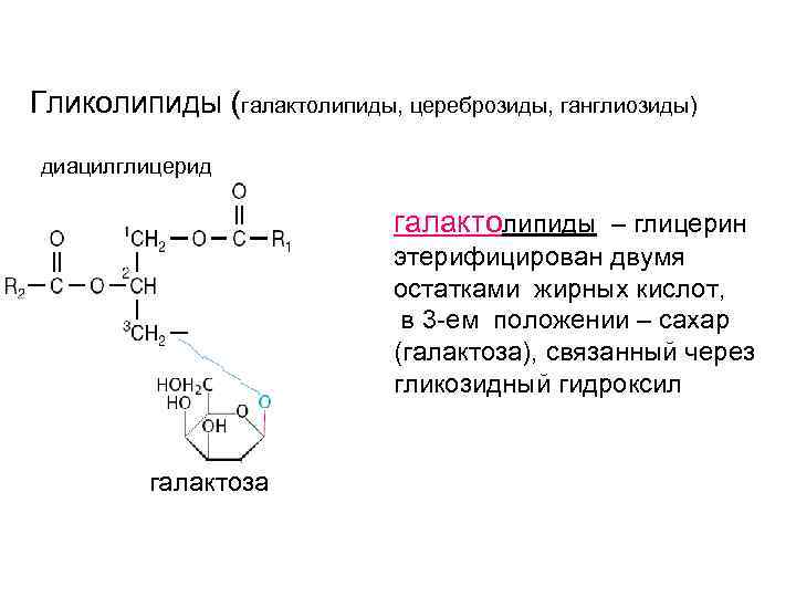 Гликолипиды