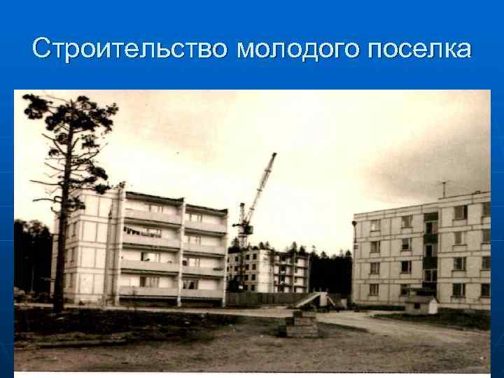 Строительство молодого поселка 
