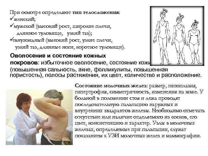  При осмотре определяют тип телосложения:  üженский;  üмужской (высокий рост, широкие плечи,