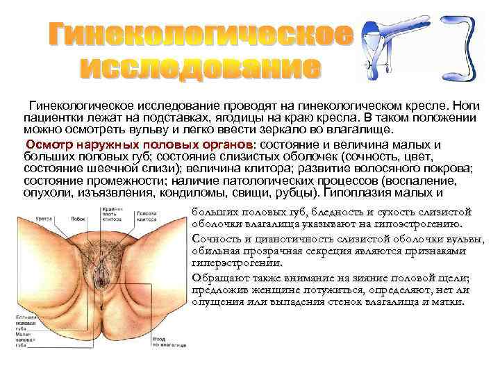   Гинекологическое исследование проводят на гинекологическом кресле. Ноги  пациентки лежат на подставках,