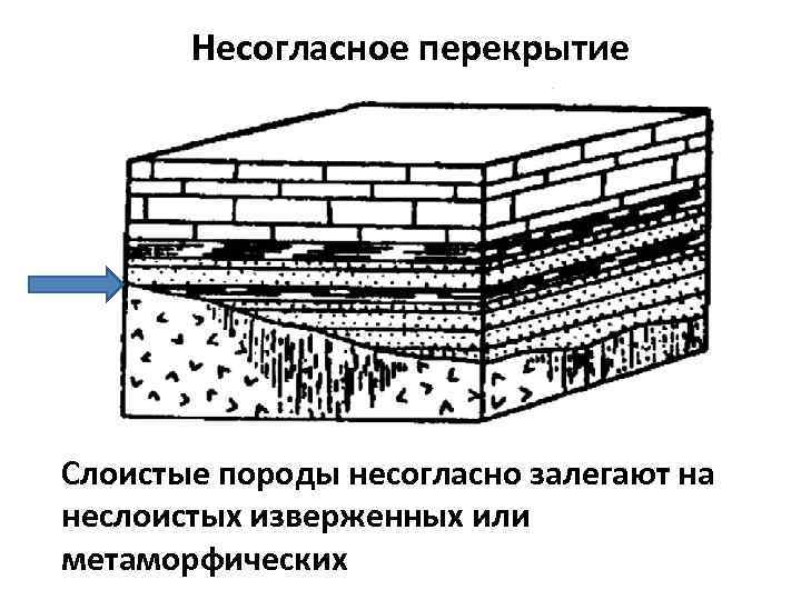   Несогласное перекрытие Слоистые породы несогласно залегают на неслоистых изверженных или метаморфических 
