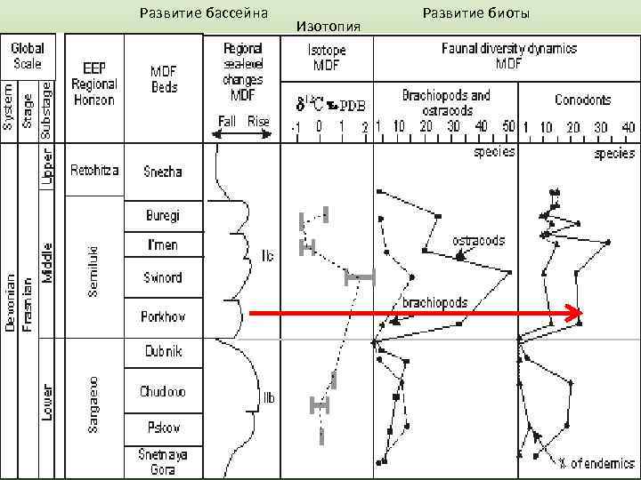 Развитие бассейна   Развитие биоты     Изотопия 