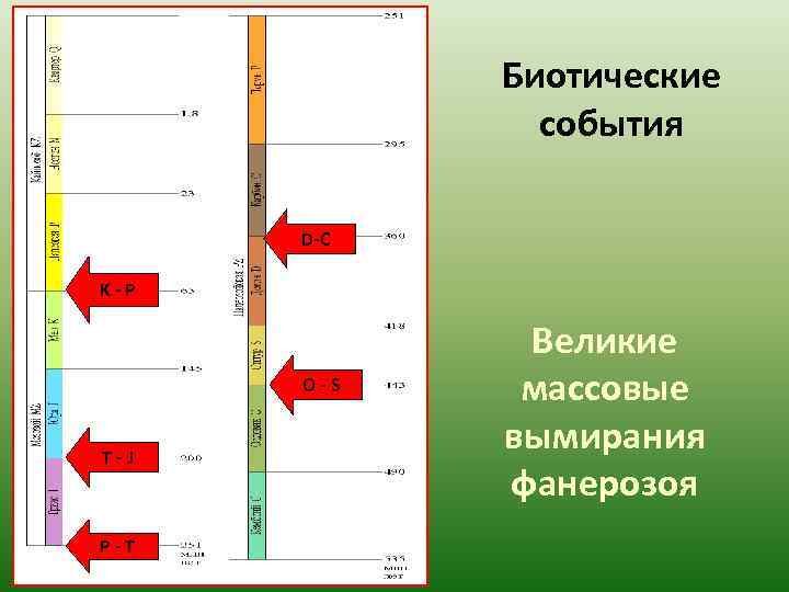   Биотические    события  D-C K-P    Великие