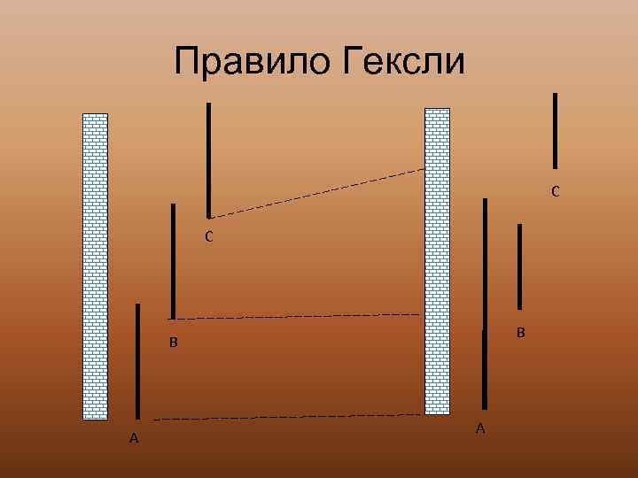   Правило Гексли      C    