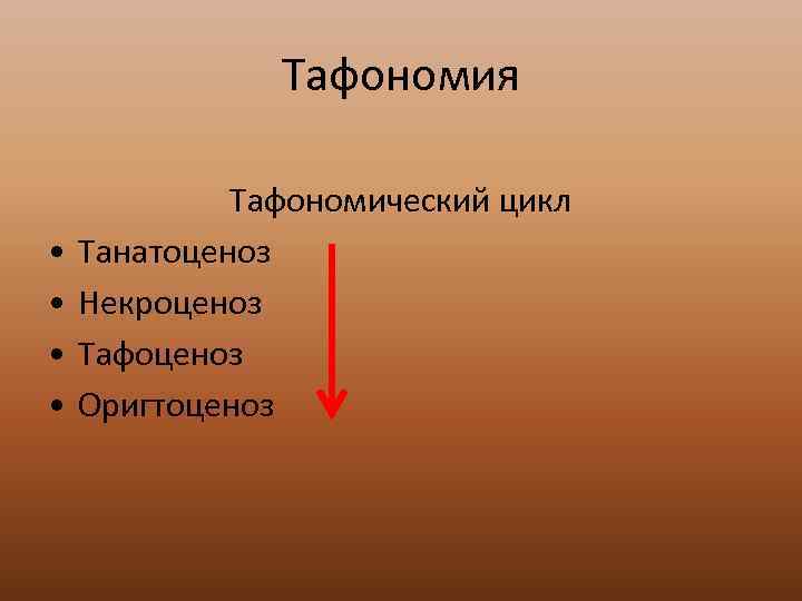     Тафономия    Тафономический цикл •  Танатоценоз •