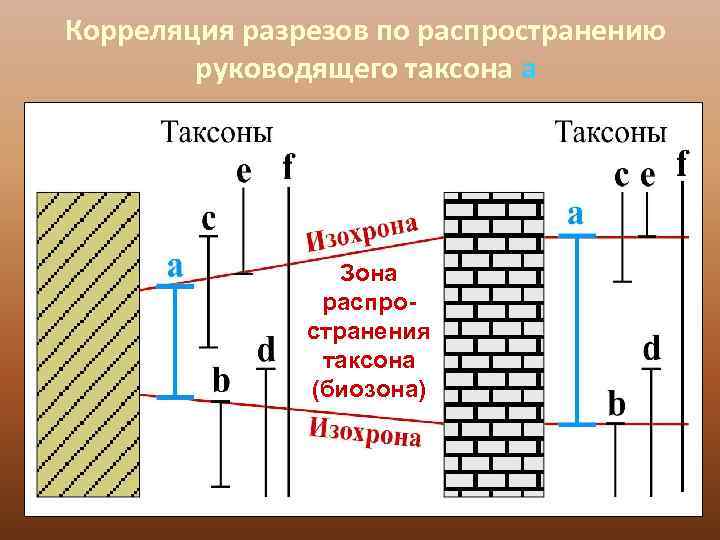 Корреляция разрезов по распространению   руководящего таксона а    Зона 