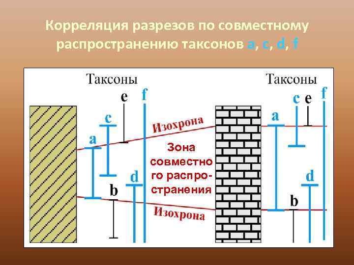 Корреляция разрезов по совместному распространению таксонов а, c, d, f    