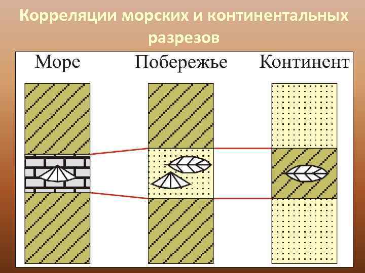 Корреляция разрезов скважин презентация