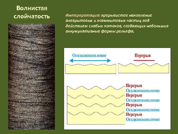  Волнистая слойчатость  Интерпретация: прерывистое накопление    алевритовых и псаммитовых частиц