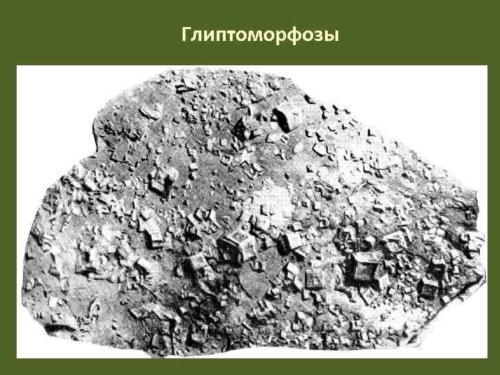 Глиптоморфозы 