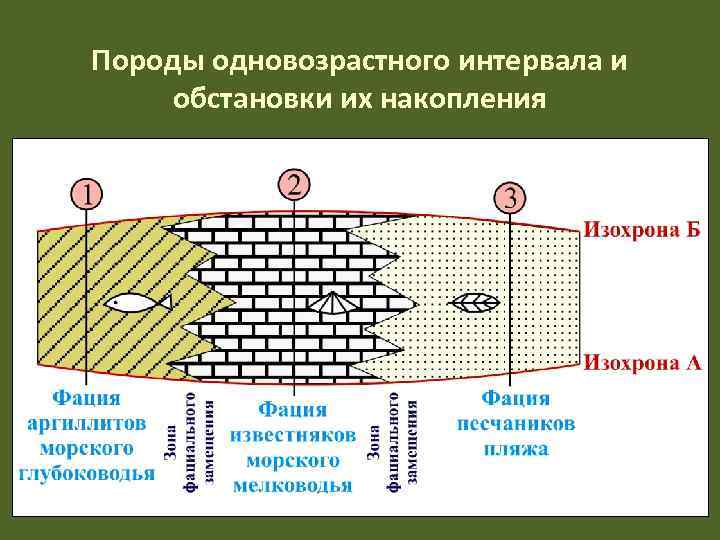 Породы одновозрастного интервала и обстановки их накопления 