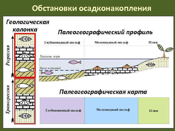   Обстановки осадконакопления Геологическая  колонка  Палеогеографический профиль    