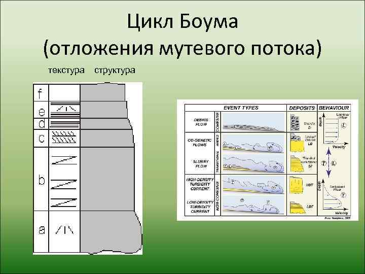   Цикл Боума (отложения мутевого потока) текстура  структура 