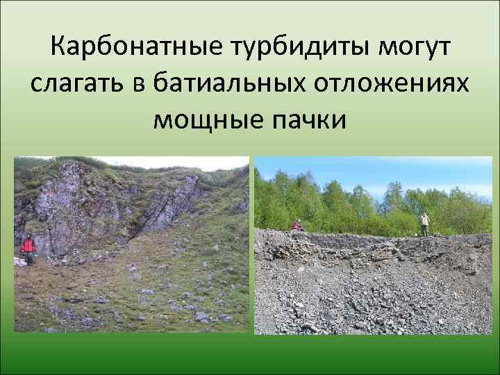 Карбонатные турбидиты могут слагать в батиальных отложениях  мощные пачки 