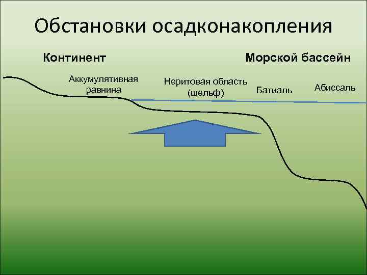 Обстановки осадконакопления Континент      Морской бассейн  Аккумулятивная  Неритовая