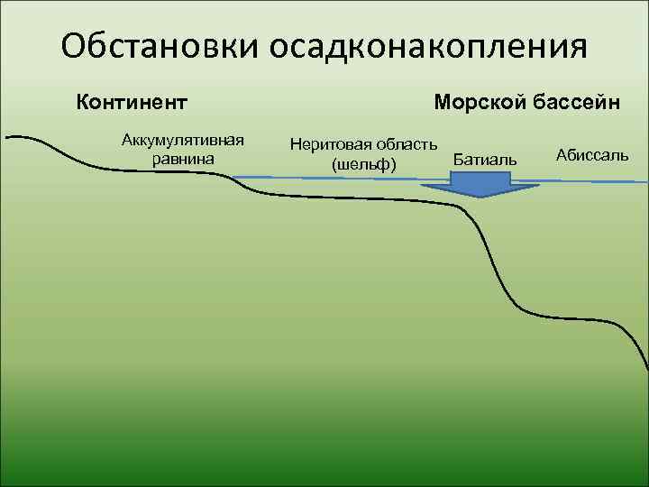 Обстановки осадконакопления Континент      Морской бассейн  Аккумулятивная  Неритовая