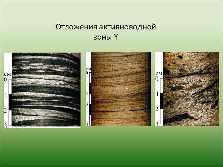 Отложения активноводной   зоны Y 