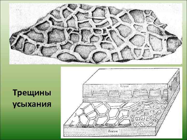 Трещины усыхания 