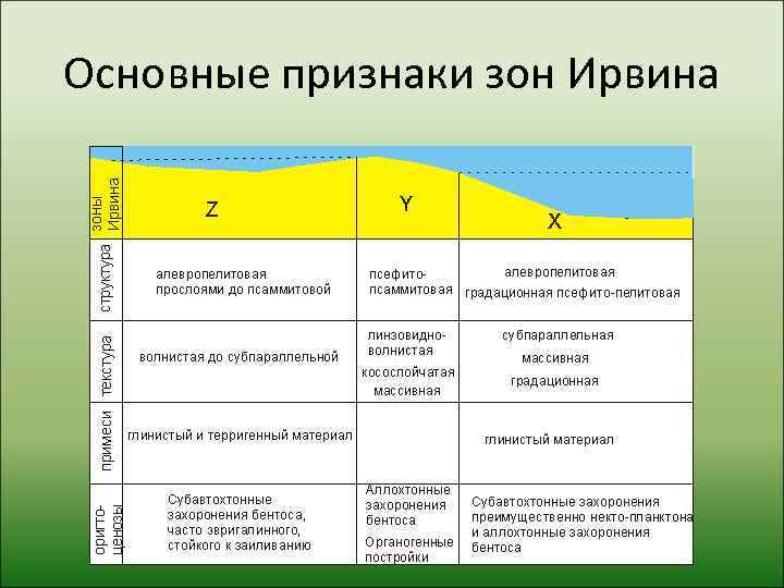 Основные признаки зон Ирвина 