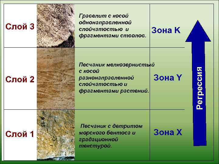    Гравелит с косой   однонаправленной Слой 3  слойчатостью и