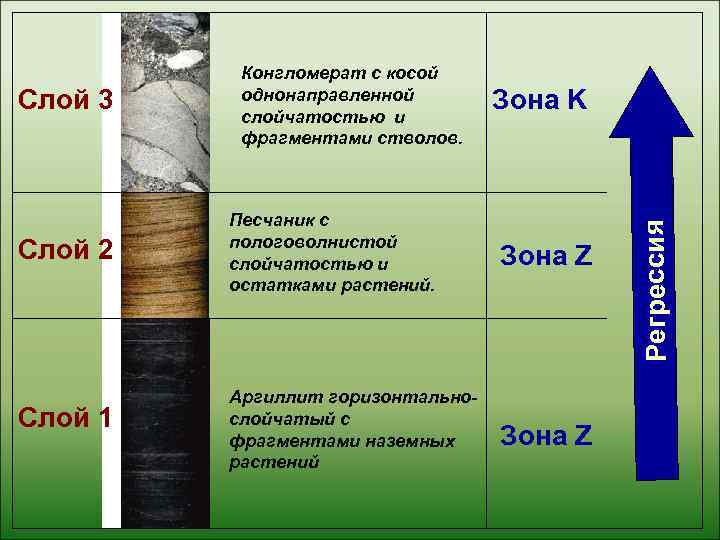    Конгломерат с косой Слой 3  однонаправленной  слойчатостью и 