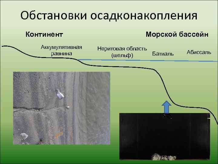Обстановки осадконакопления Континент      Морской бассейн  Аккумулятивная  Неритовая
