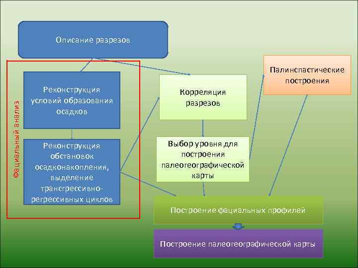      Описание разрезов       Палинспастические