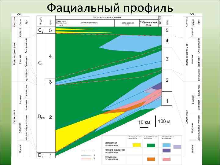 Фациальный профиль 
