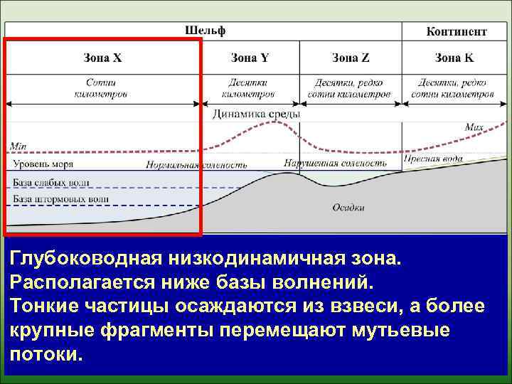 Глубоководная низкодинамичная зона. Располагается ниже базы волнений. Тонкие частицы осаждаются из взвеси, а более