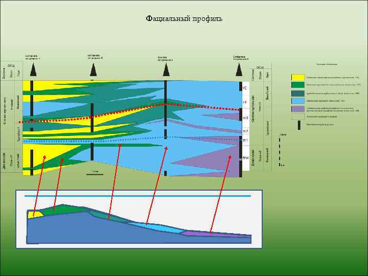 Фациальный профиль 