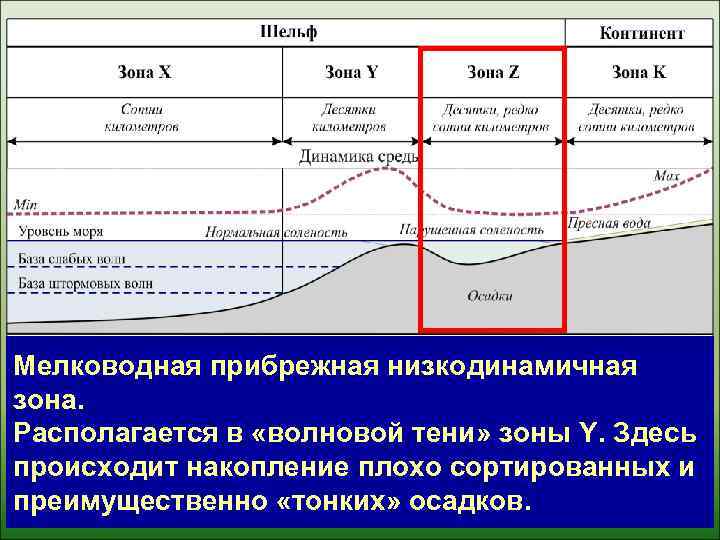 Мелководная прибрежная низкодинамичная зона. Располагается в «волновой тени» зоны Y. Здесь происходит накопление плохо